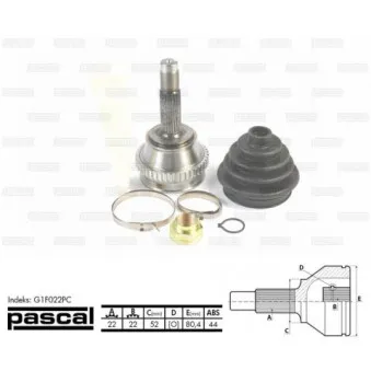 Embout de cardan avant (kit de réparation) PASCAL G1F022PC