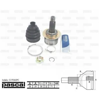 Embout de cardan avant (kit de réparation) PASCAL G1F060PC