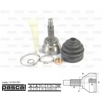Embout de cardan avant (kit de réparation) PASCAL G1G012PC