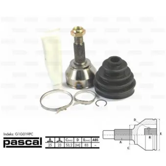 Embout de cardan avant (kit de réparation) PASCAL G1G019PC