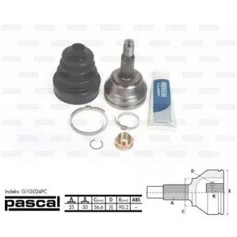 Embout de cardan avant (kit de réparation) PASCAL G1G024PC