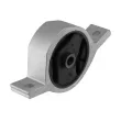 Support moteur TEKNÖR ZPS-NS-197 - Visuel 1