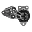 Support moteur TEKNÖR ZPS-RE-080 - Visuel 3