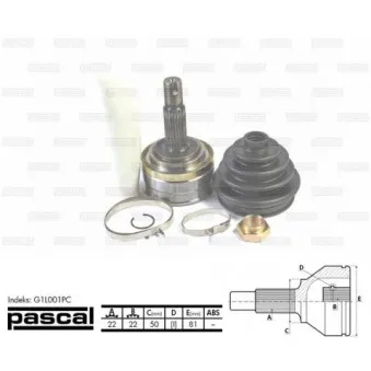 Embout de cardan avant (kit de réparation) PASCAL G1L001PC