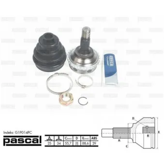 Embout de cardan avant (kit de réparation) PASCAL G1P014PC