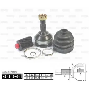 Embout de cardan avant (kit de réparation) PASCAL G1P016PC