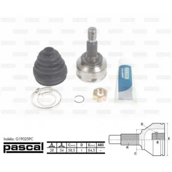 Embout de cardan avant (kit de réparation) PASCAL G1P025PC