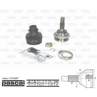 Embout de cardan avant (kit de réparation) PASCAL G1P028PC