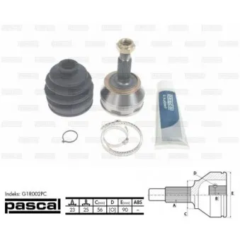 Embout de cardan avant (kit de réparation) PASCAL G1R002PC