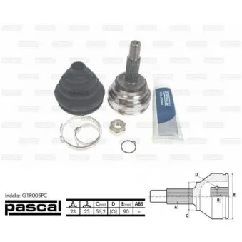 Embout de cardan avant (kit de réparation) PASCAL G1R005PC
