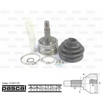 Embout de cardan avant (kit de réparation) PASCAL G1R011PC
