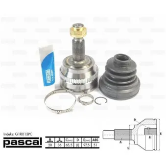 Embout de cardan avant (kit de réparation) PASCAL G1R013PC