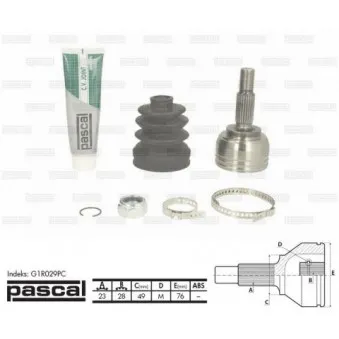 Embout de cardan avant (kit de réparation) PASCAL G1R029PC