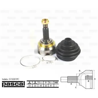 Embout de cardan avant (kit de réparation) PASCAL G1S001PC