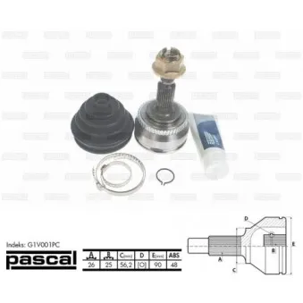 Embout de cardan avant (kit de réparation) PASCAL G1V001PC
