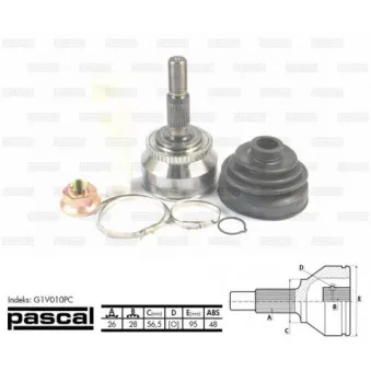 Embout de cardan avant (kit de réparation) PASCAL G1V010PC