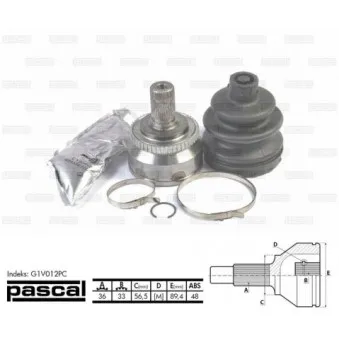 Embout de cardan avant (kit de réparation) PASCAL G1V012PC