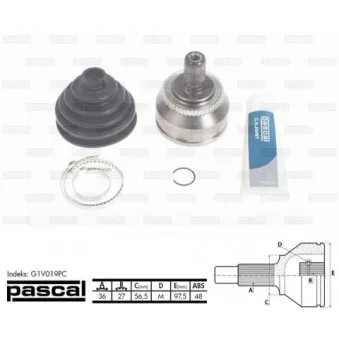Embout de cardan avant (kit de réparation) PASCAL G1V019PC