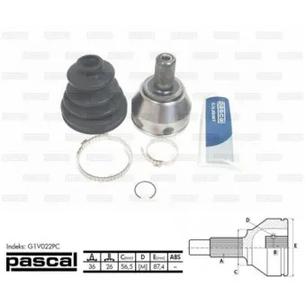 Embout de cardan avant (kit de réparation) PASCAL G1V022PC