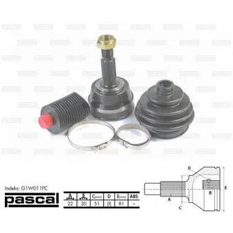 Embout de cardan avant (kit de réparation) PASCAL G1W011PC