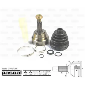 Embout de cardan avant (kit de réparation) PASCAL G1W012PC