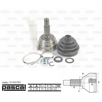 Embout de cardan avant (kit de réparation) PASCAL G1W019PC