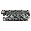 Culasse de cylindre FRECCIA CH17-1042 - Visuel 2