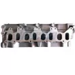Culasse de cylindre FRECCIA CH17-1047 - Visuel 1