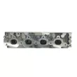 Culasse de cylindre FRECCIA CH17-1048 - Visuel 3