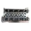 Culasse de cylindre FRECCIA CH17-1063 - Visuel 2