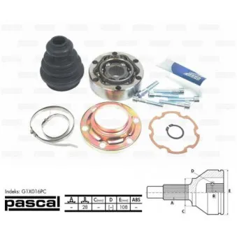 Embout de cardan avant (kit de réparation) PASCAL G1X016PC
