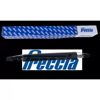 Jeu de 2 amortisseurs arrière FRECCIA SA20-1083