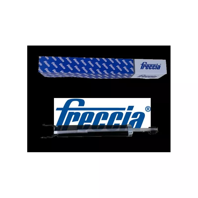 Jeu de 2 amortisseurs arrière FRECCIA SA20-1091