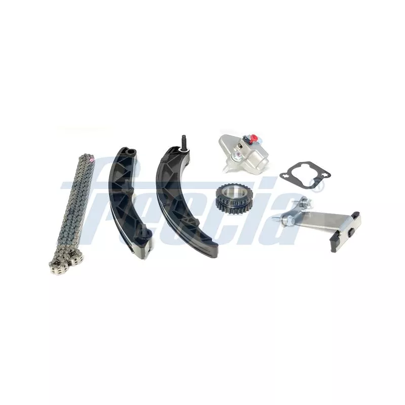 Kit de distribution par chaîne FRECCIA TK08-1217