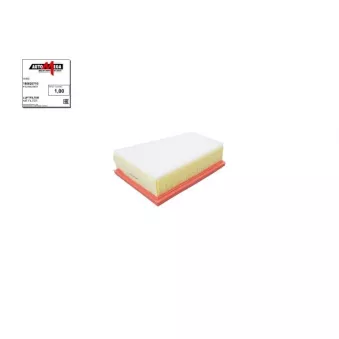 Filtre à air AUTOMEGA