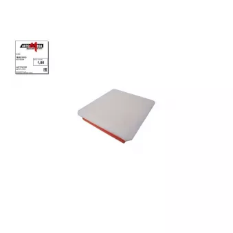 Filtre à air AUTOMEGA