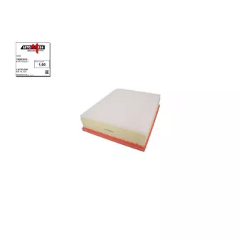 Filtre à air AUTOMEGA