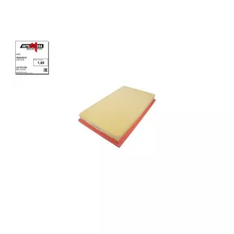 Filtre à air AUTOMEGA