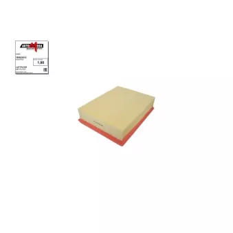 Filtre à air AUTOMEGA