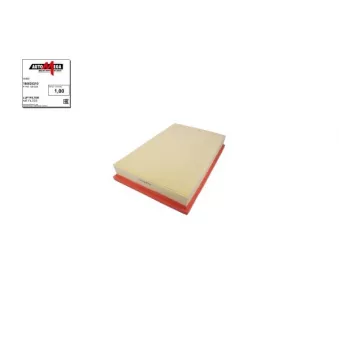 Filtre à air AUTOMEGA