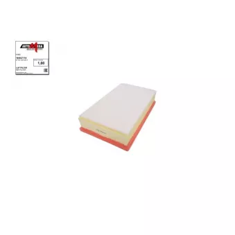 Filtre à air AUTOMEGA