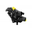 Thermostat, liquide de refroidissement AUTOMEGA 250460110 - Visuel 3