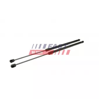 Vérin de hayon, de coffre FAST FT94809K