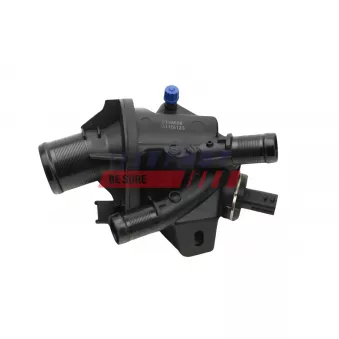 Thermostat d'eau FAST FT58056