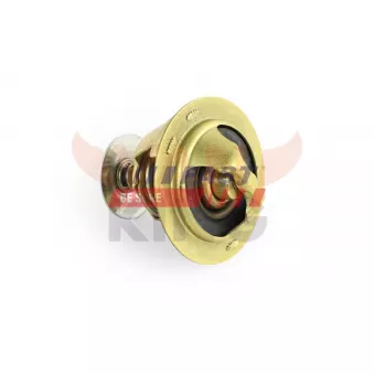 Thermostat, liqiuide de refroidissement FAST FT58160