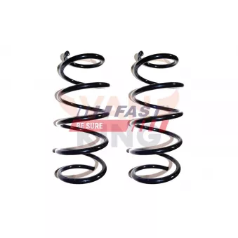 Ressort de suspension FAST FT12248K
