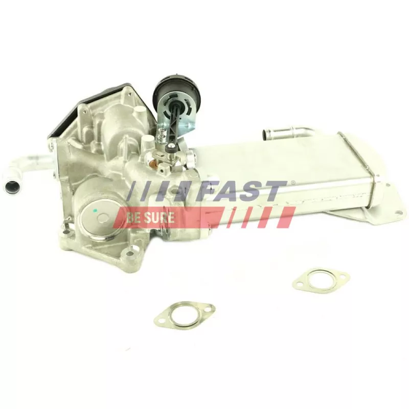 Module-EGR FAST FT60423