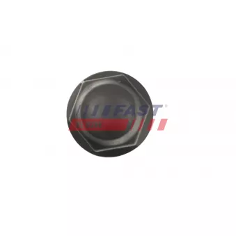 Bonnette, écrou de roue FAST FT90601