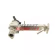 Module-EGR FAST FT60250 - Visuel 3