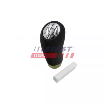 Pommeau FAST FT00170
